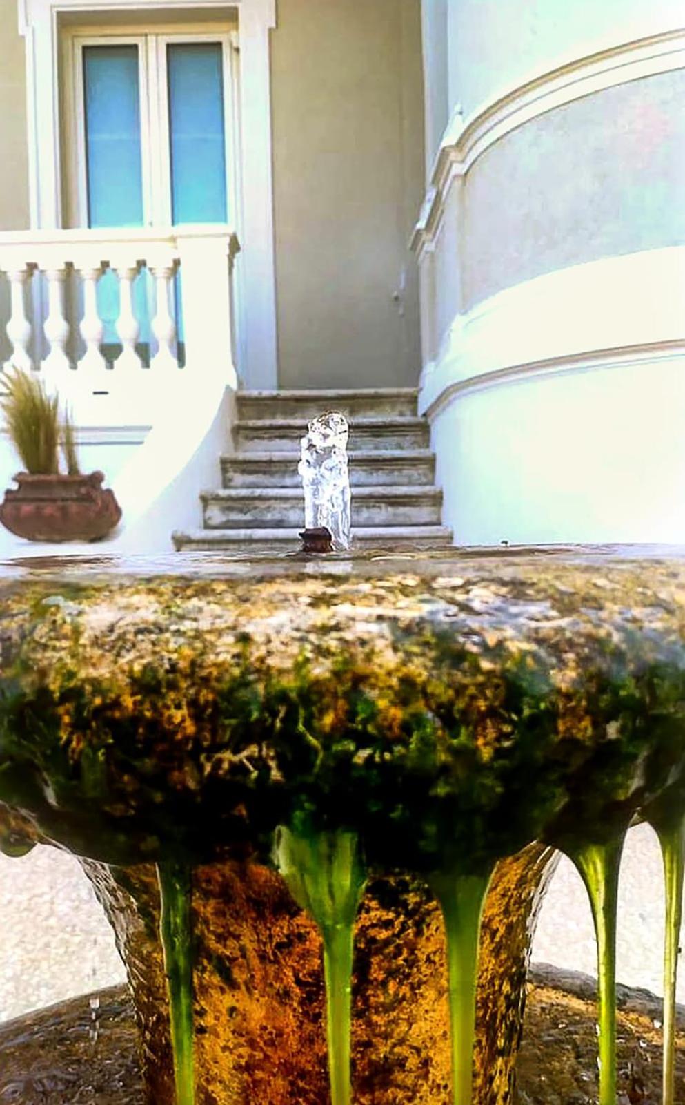 Villa La Torretta Luxury B&B - Adults Only - Rimini Exteriör bild